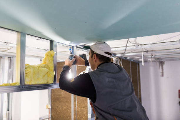 Best Residential Insulation in Clintondale, NY